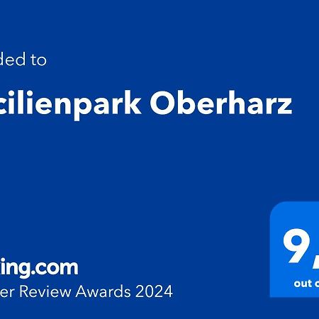 Cecilienpark Oberharz Villa Goslar Dış mekan fotoğraf