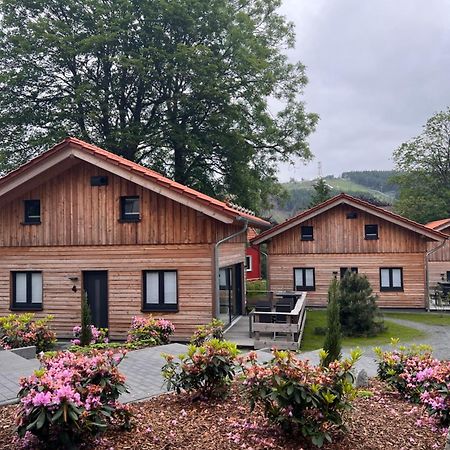 Cecilienpark Oberharz Villa Goslar Dış mekan fotoğraf