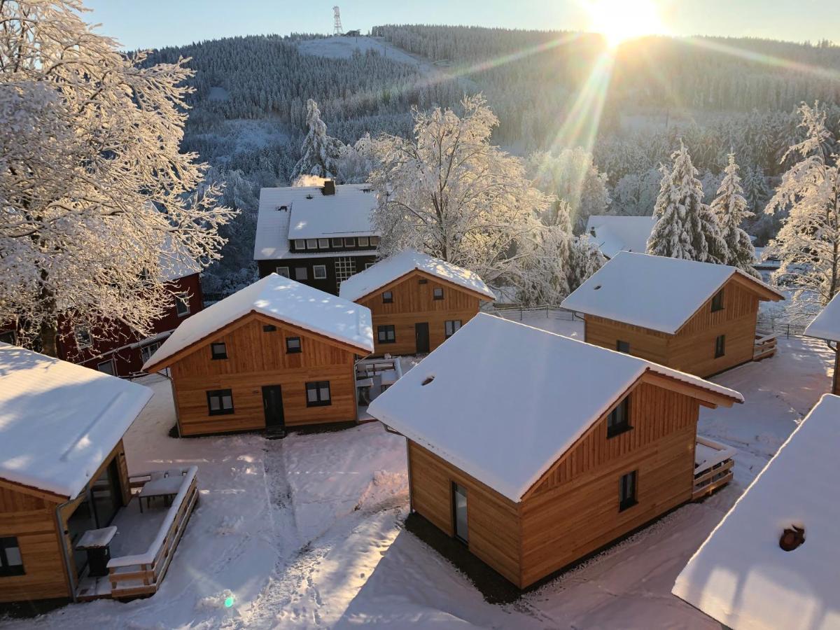 Cecilienpark Oberharz Villa Goslar Dış mekan fotoğraf