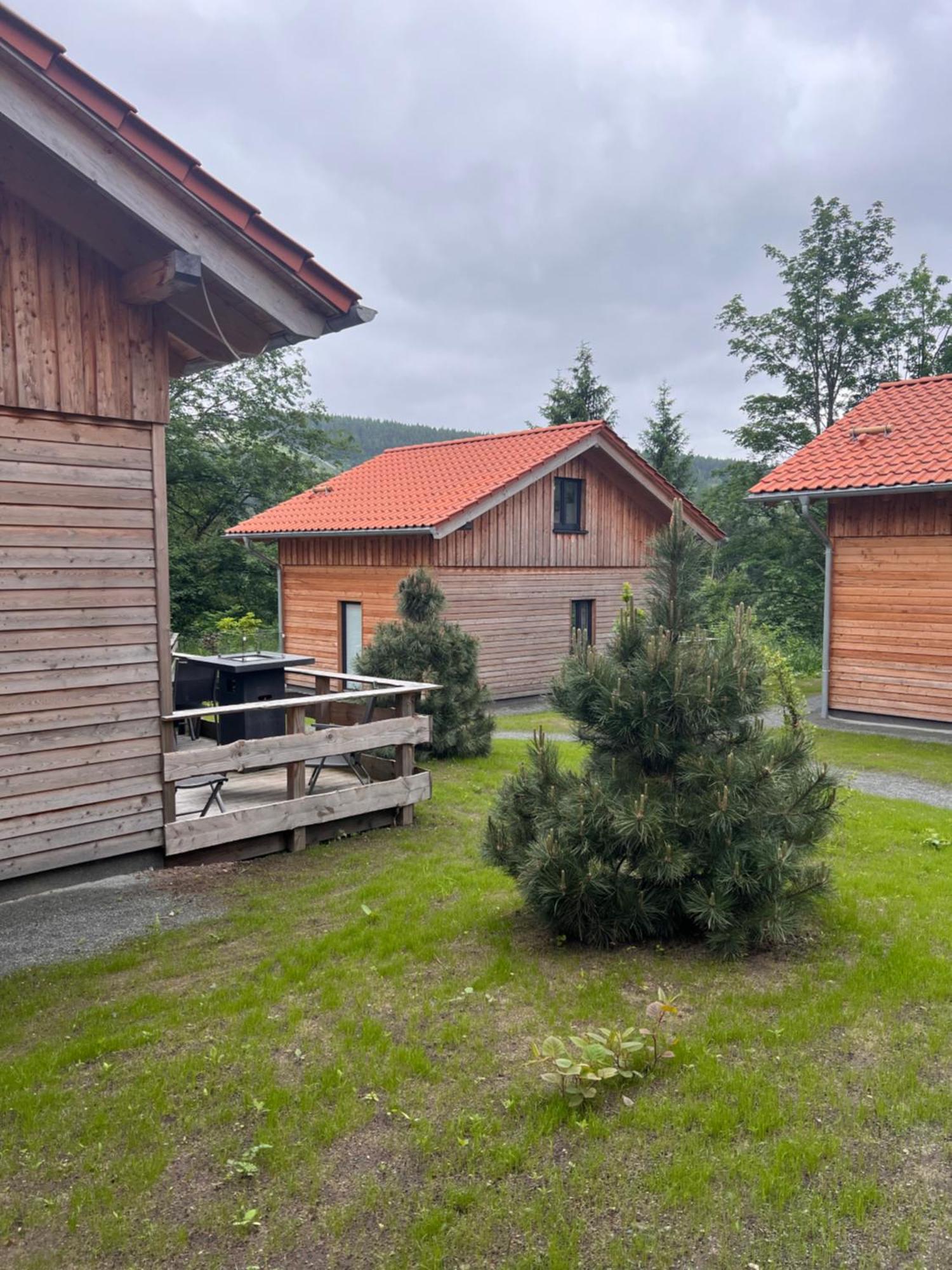 Cecilienpark Oberharz Villa Goslar Dış mekan fotoğraf