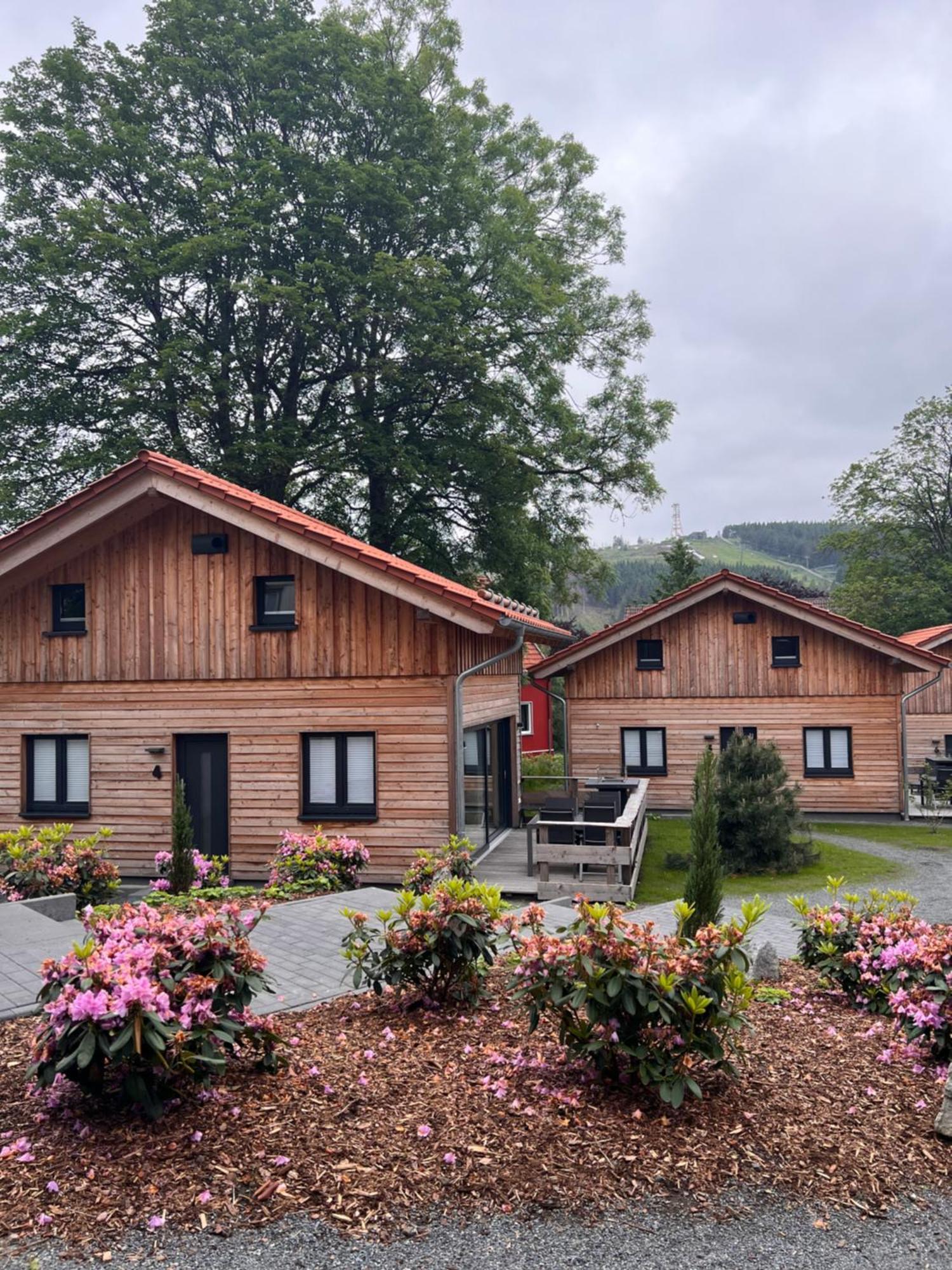 Cecilienpark Oberharz Villa Goslar Dış mekan fotoğraf