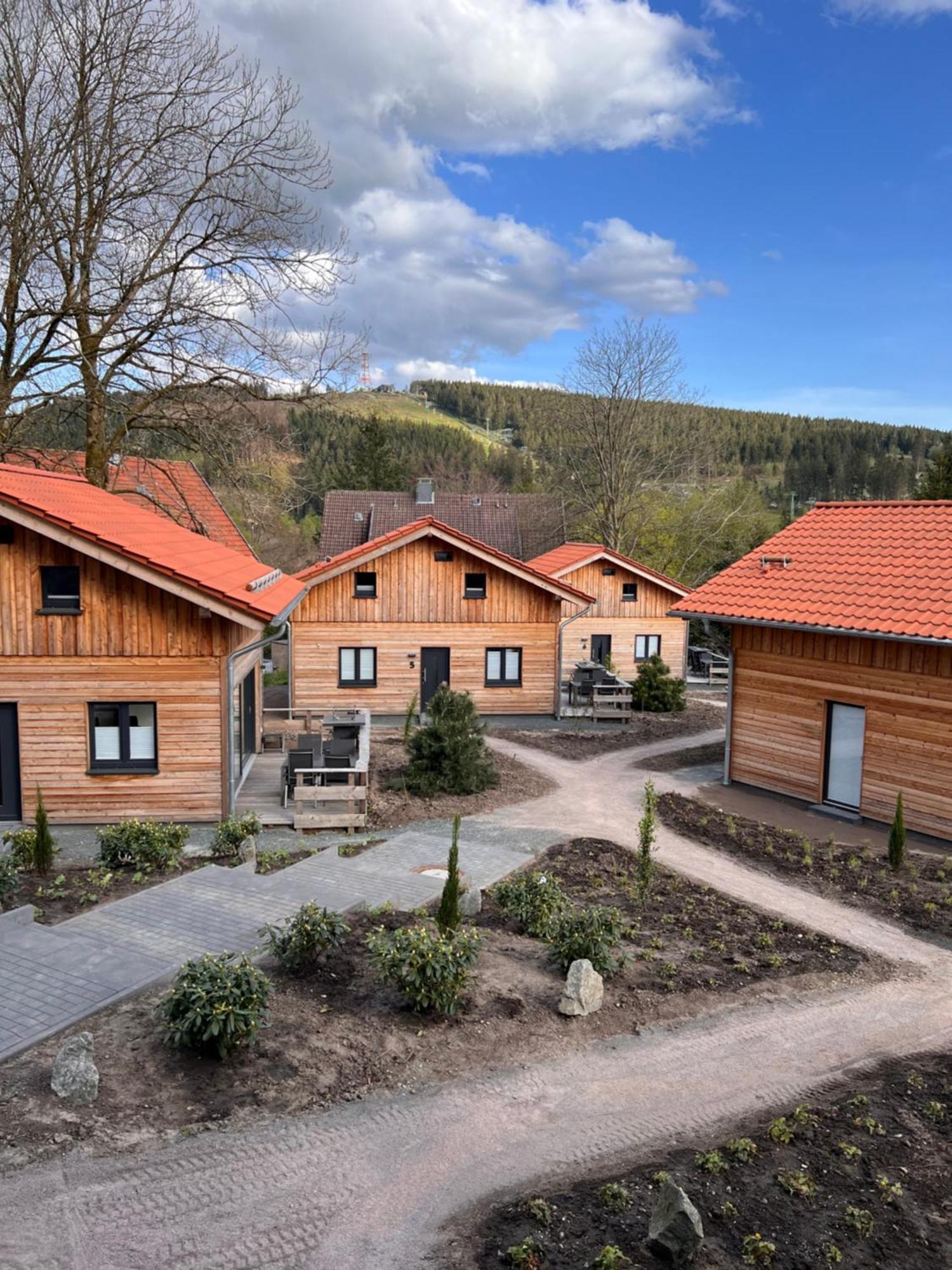 Cecilienpark Oberharz Villa Goslar Dış mekan fotoğraf